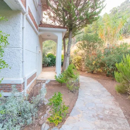 ヴィラ Uzumlu フェティエ