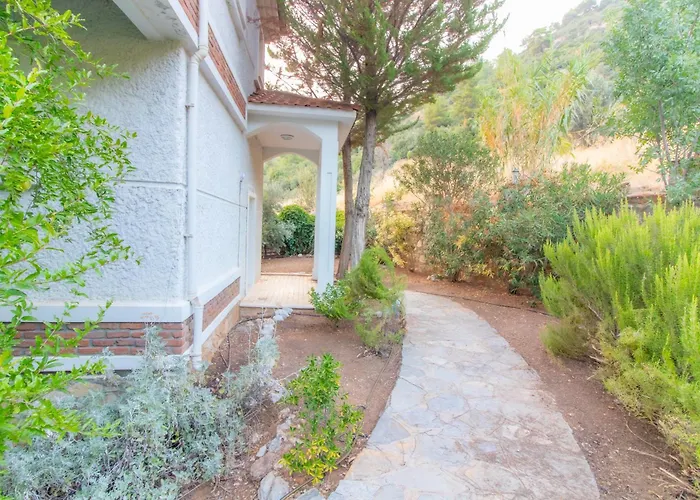 ヴィラ Uzumlu フェティエ