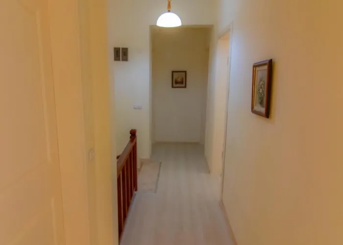 Uzumlu フェティエ