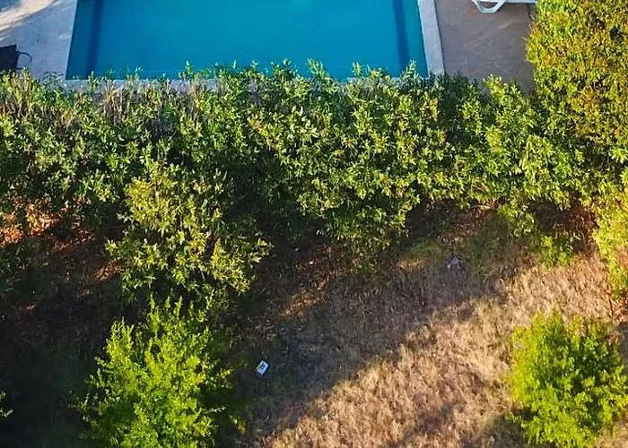 Uzumlu フェティエ